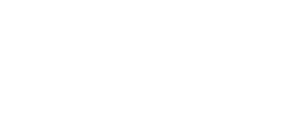 רשת שגב לוגו