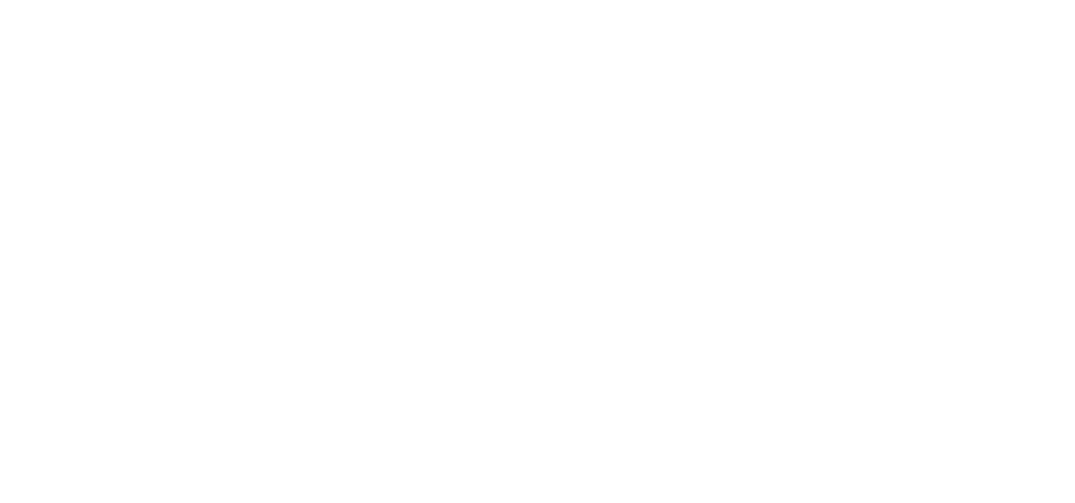 Segev